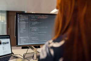wordpress developer